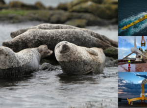 New report charts path to unlocking Scotland’s tidal energy potential