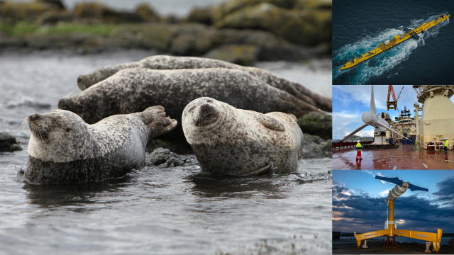 New report charts path to unlocking Scotland’s tidal energy potential